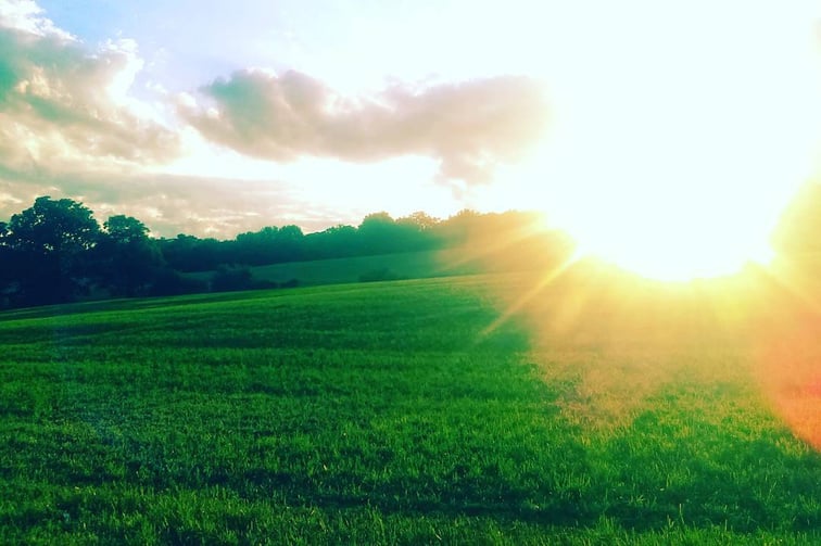 2016-Pasture, NJ