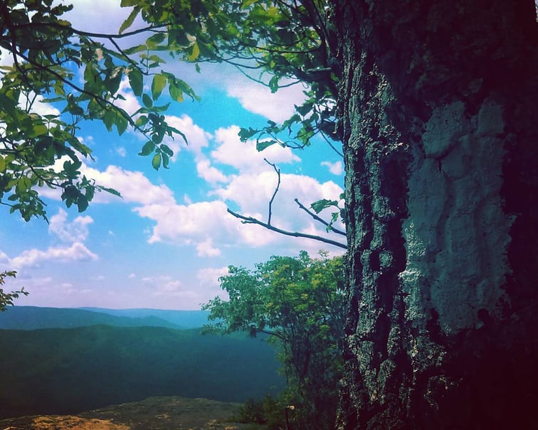 Trail view